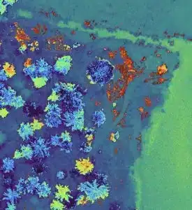 Sistema di calibrazione radiometrica