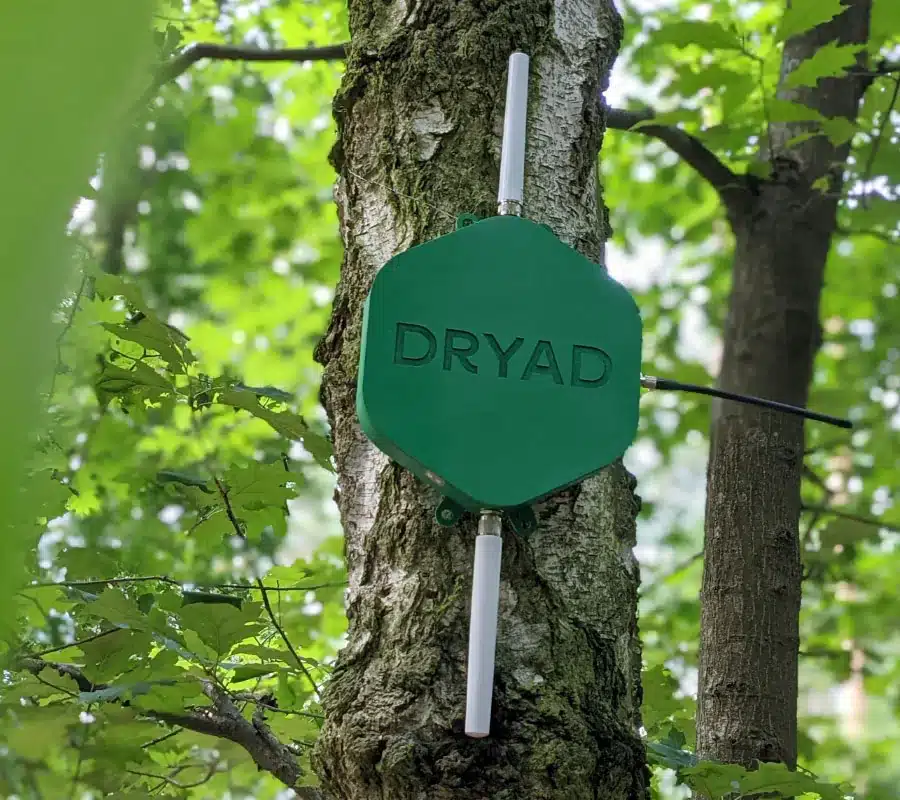 Grenz-Gateway mit 4G-, Ethernet- und Satellitenanbindung zur Übertragung der Brandsensoralarme in die Cloud