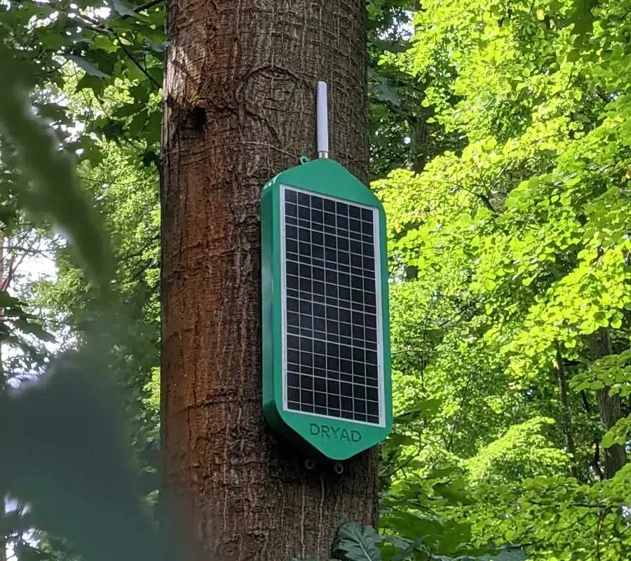 Solarbetriebenes LoRaWAN-Mesh-Gateway zur Erweiterung des Brandsensornetzes im Wald