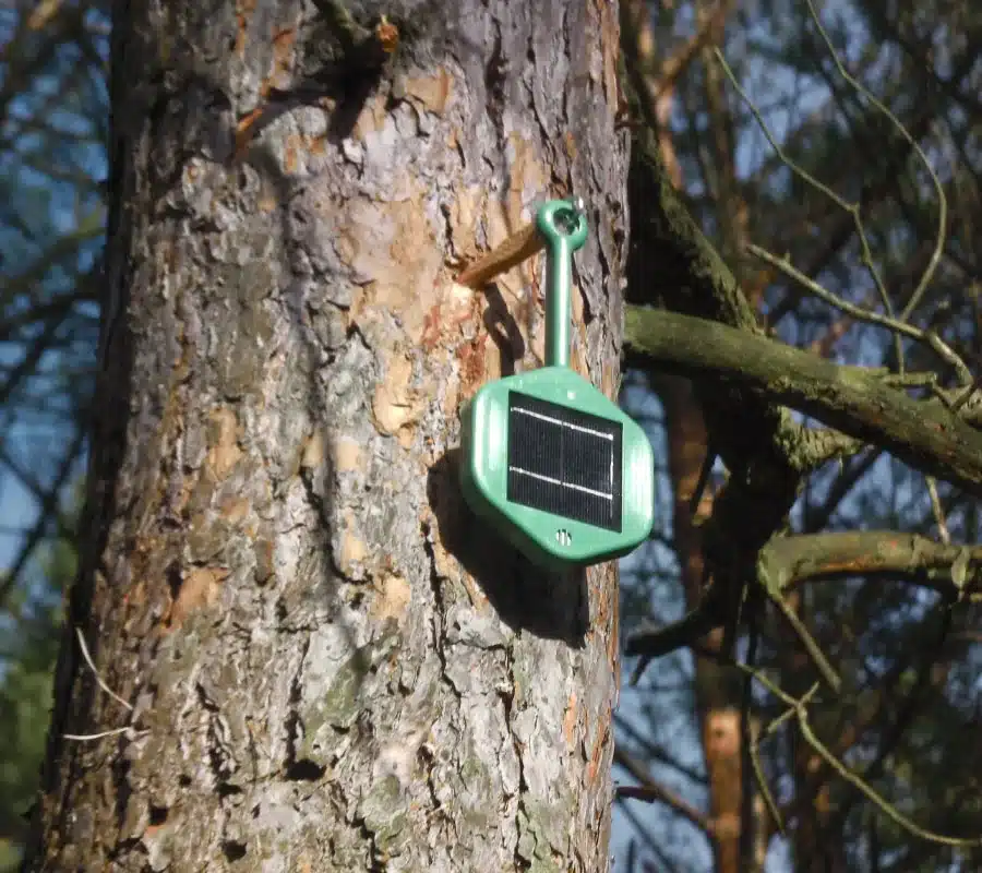 IoT-Sensor zur Früherkennung von Waldbränden an einem Baumstamm montiert