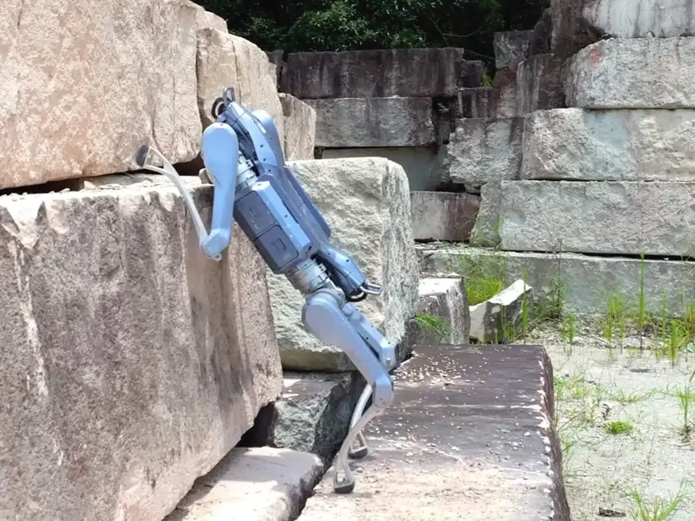 Vierbeiniger Roboter Unitree A2 Pro überwindet eine Felsstufe